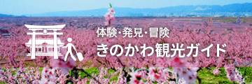 体験・発券・冒険　きのかわ観光ガイド