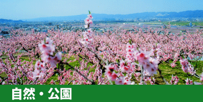 自然と公園へのリンク