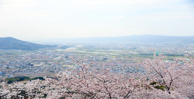 百合山遊歩道ハイキングコース