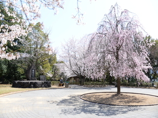 秋葉山公園