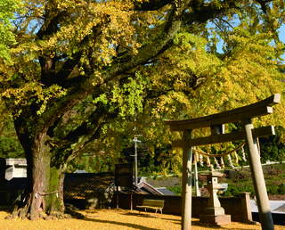 大池遊園