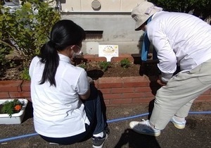 認知症月間2023花
