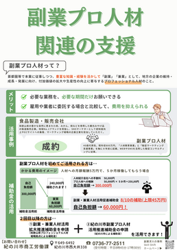 副業プロ人材関連の支援案内チラシ