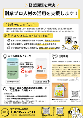 副業プロ人材の活用を支援します。