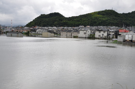 貴志川町丸栖地区の浸水現場の写真
